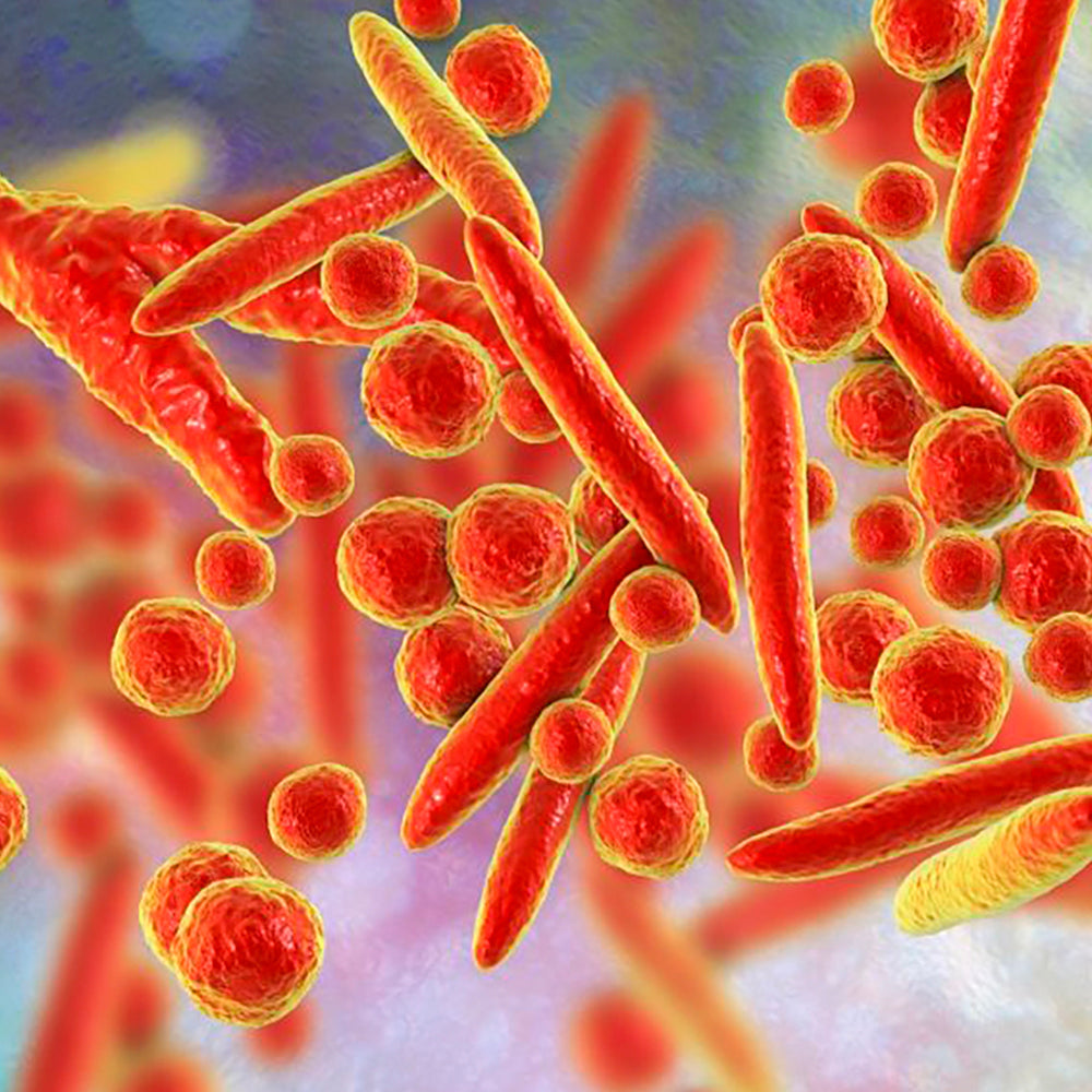 Detection of Mycoplasmal Infections in Blood of Patients with Rheumatoid Arthritis